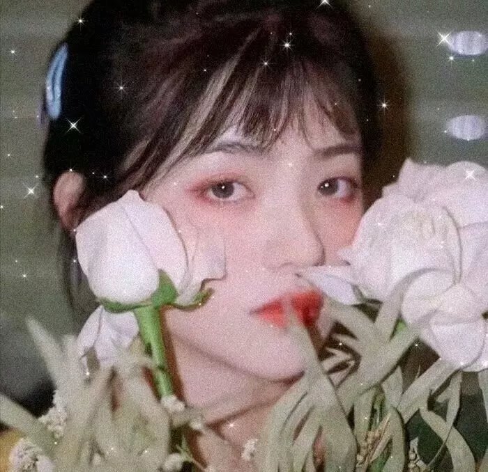 谎话连篇 浪花梦之阵