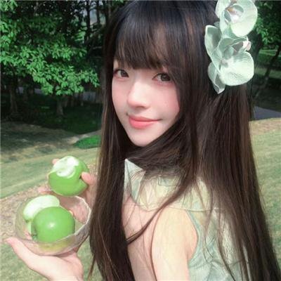 幼狮王朝