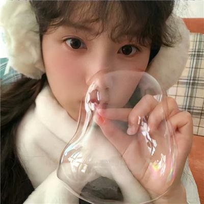 元首的面孔